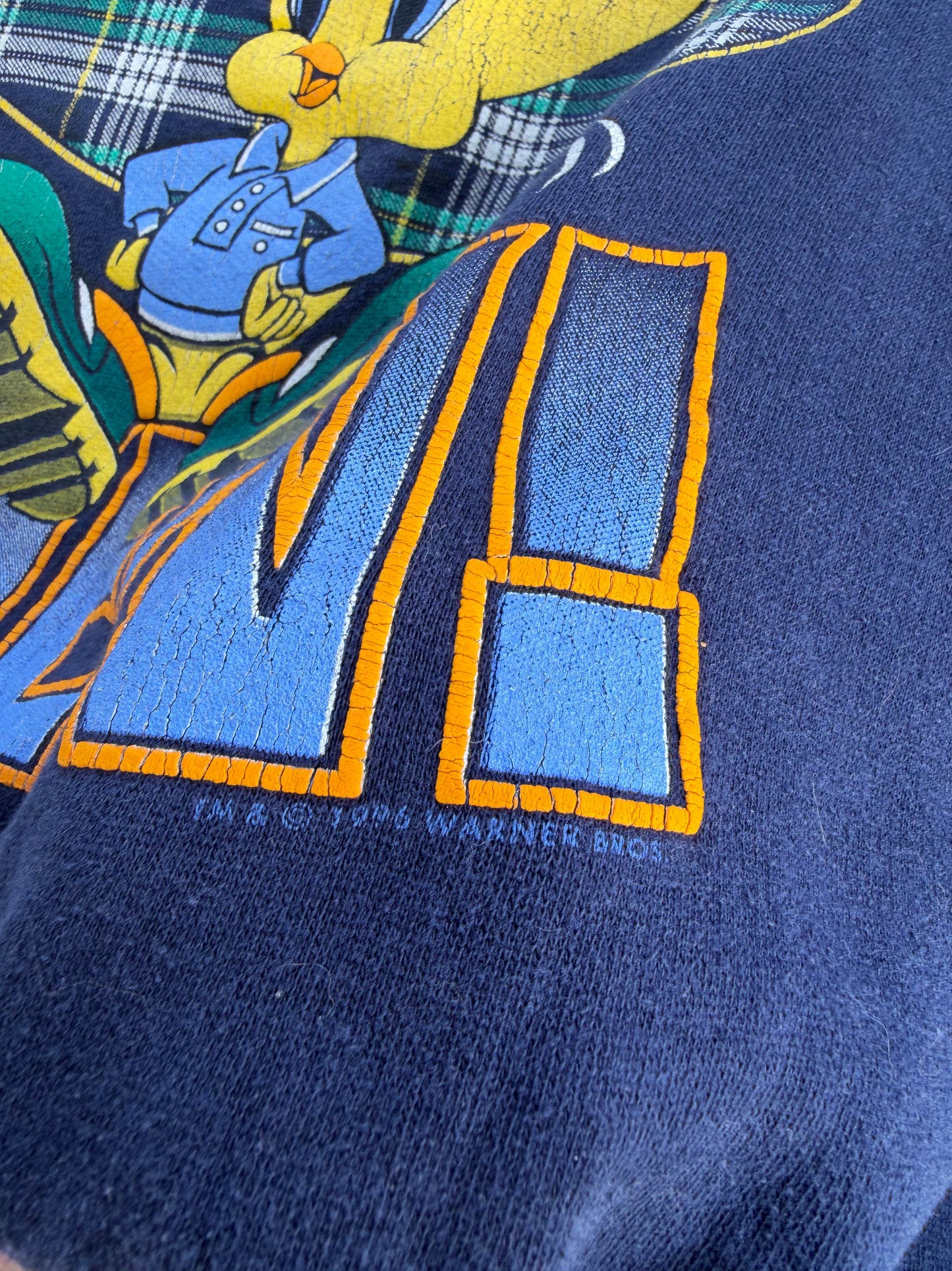 1996 vintage tweety bird crewneck x flannel